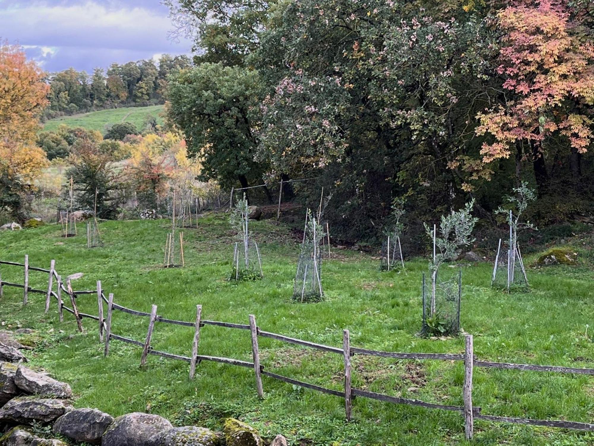 Casetta Di Ugolino Radicofani Luaran gambar